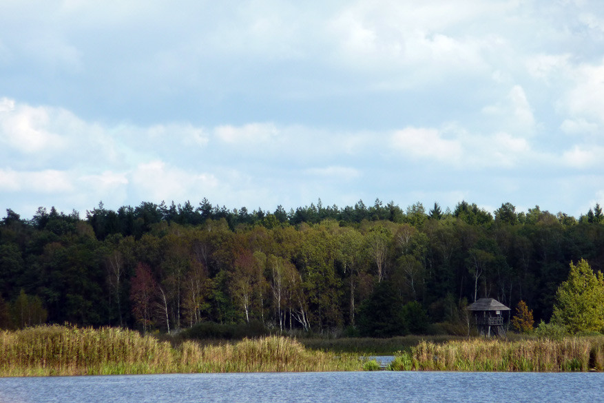 Pittoresk plaatje uit het Poleski Nationaal Park