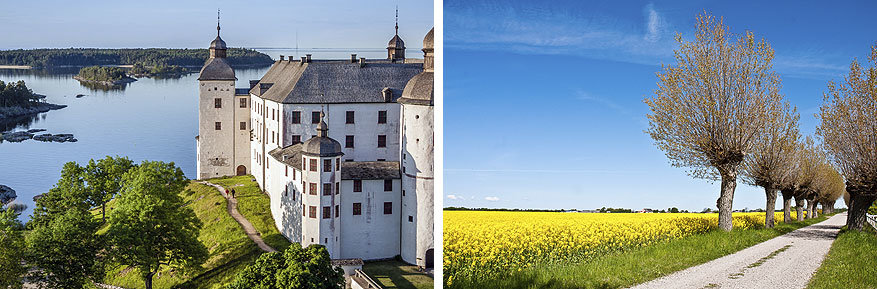 The Bridge in Zweden: kastelen en uitgestrekte landschappen in Skåne 