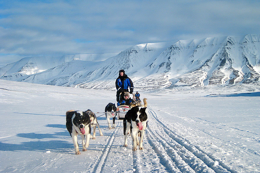 Spitsbergen: sleeën met honden