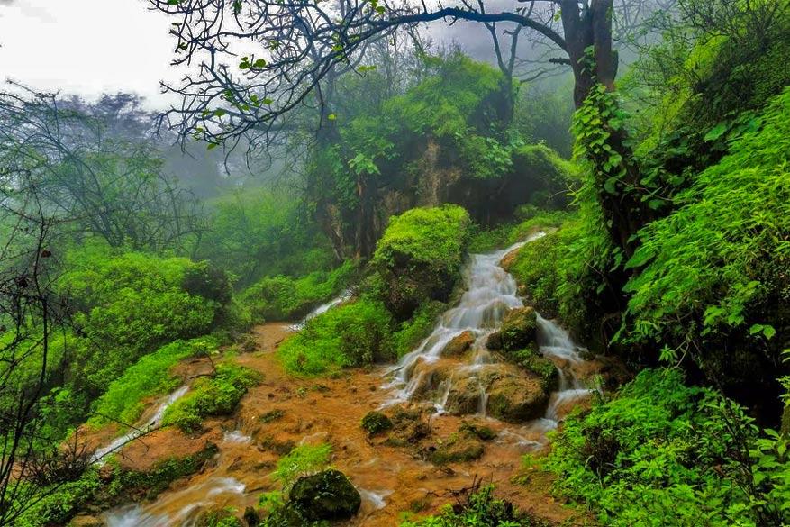 Dankzij de moesson wordt Salalah een groene oase
