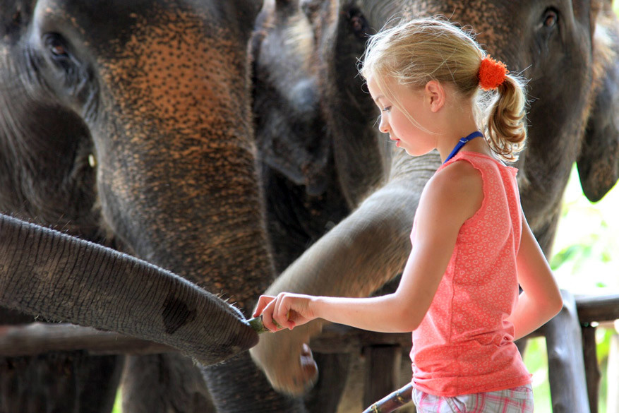 Thailand: olifanten verzorgen in Khao Sok Nationaal Park