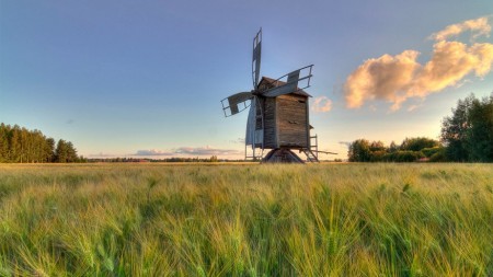 25 windmolens die eens niet in Nederland staan