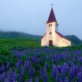 De kerk in Vík, IJsland ontvangt waarschijnlijk het laagste aantal inwoners ooit, namelijk ongeveer 280. Dat is de populatie van het meest zuidelijk gelegen plekje in IJsland, waar tevens het meeste neerslag valt. Als je niet hier bent om de kerk te bezichtigen, ga dan zeker naar de nabijgelegen Mýrdalsjökull-gletsjer, waaronder IJslands gevaarlijkste vulkaan Katla ligt te smeulen. © Stefano Di Chiara