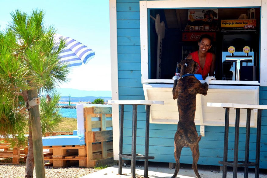 Geweldig: Kroatië opent strand speciaal voor honden