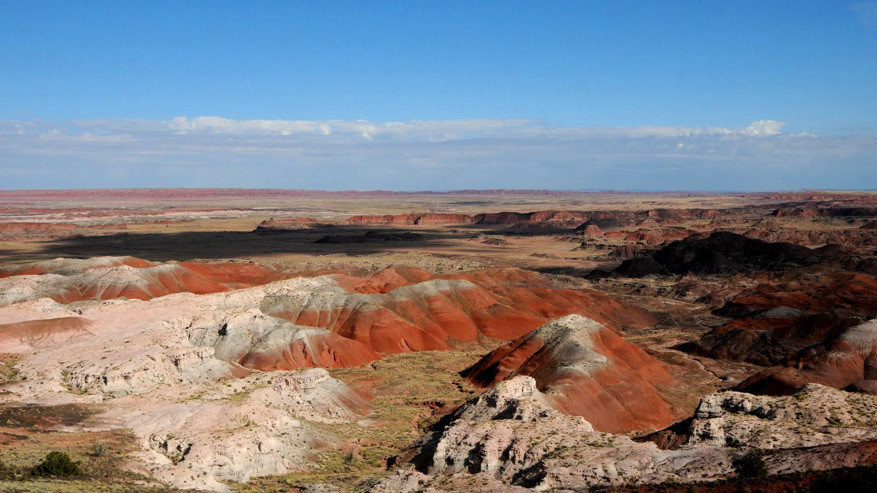 Petrified Forest National Park