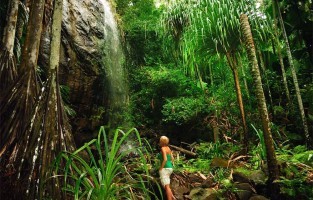 4. Twee natuurlijke sites op de UNESCO Werelderfgoedlijst: zeker 50 procent van het land op de Seychellen bestaat uit natuurreservaat. UNESCO heeft twee bijzonder ongerepte sites op de Werelderfgoedlijst staan: de Vallée de Mai en de Aldabra-atol. Vallée de Mai op Praslin werd lang geïdentificeerd met de Bijbelse tuin van Eden, mede dankzij de erotische vorm van de ‘coco de mer’. Aldabra-atol ligt in de buitenste eilanden op meer dan 1.000 km van Mahé. De basis van de plek bestaat uit basalt, met een opbouw van kalksteen en koraal.