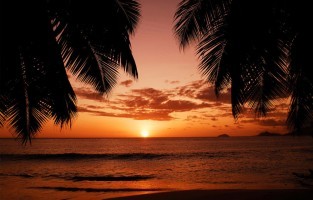 9. Slechts een klein tijdsverschil: je geniet een exotische vakantie met een klein tijdsverschil. Tijdens onze zomertijd is het op de Seychellen slechts 2 uur later. Tijdens onze wintertijd is het op de Seychellen 3 uur later. Geen last van een jetlag dus!