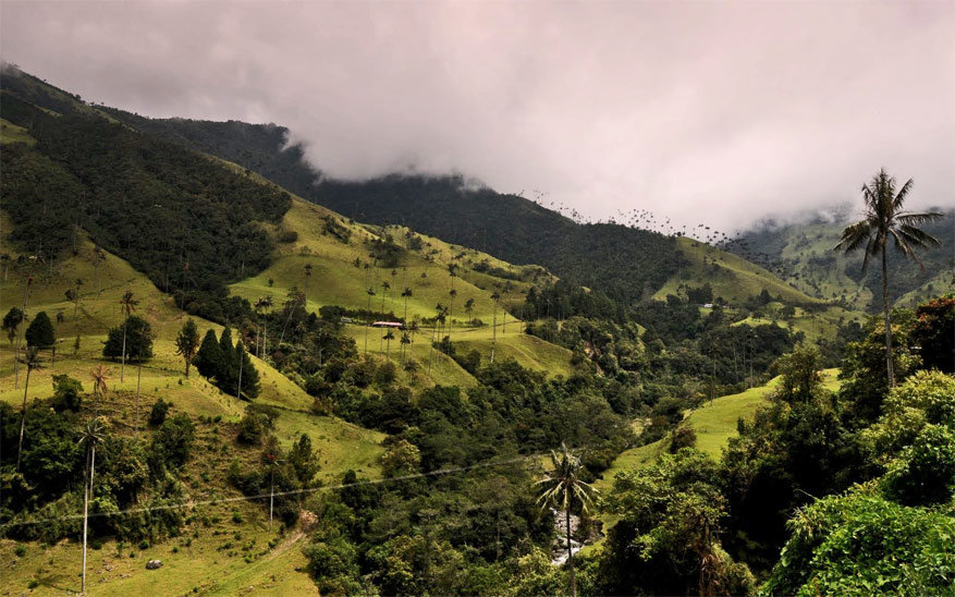 Roadtrip langs natuurscenes in Amerika: Panama en Colombia