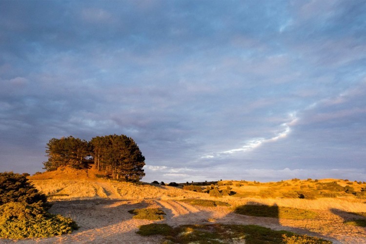 Anholt: het kleine eiland Anholt ligt in de Kattegatzee en wordt vaak beschreven als een woestijn. Met een ferry bereik je deze plak waar je langs de uitgestrekte duinen en lange stranden kan wandelen. Wist je trouwens dat het eiland beschikt over een van de grootste en belangrijkste toevluchtsoorden voor zeehonden in Europa? © Ulrik Teisner
