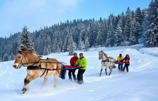 Skijöring: ontstaan in Noorwegen en een leuke alternatief op het klassieke skiën. Bij skijöring laat je je op de ski’s voortslepen door sledehonden of paarden. De sport wordt het meest beoefend in Scandinavië, maar is erg populair in Frankrijk. © Savoie Mont Blanc