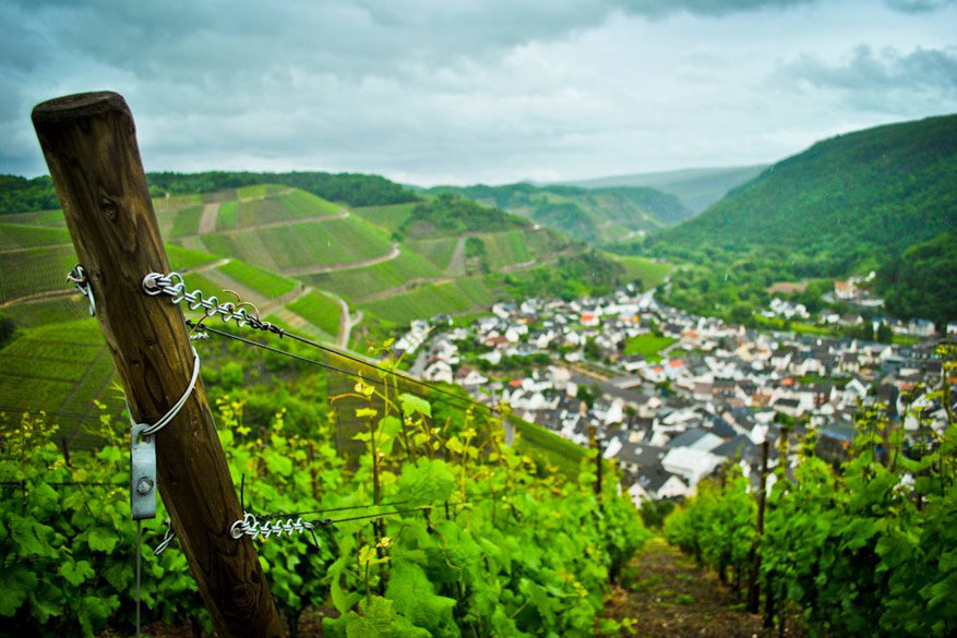 Wandelen, wijnproeven en wellness in Duitse Ahrtal