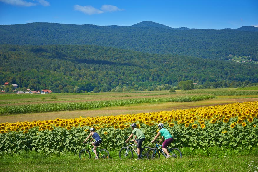 De Ronde van Slovenië staat helemaal in het teken van het groene Sloveense landschap.