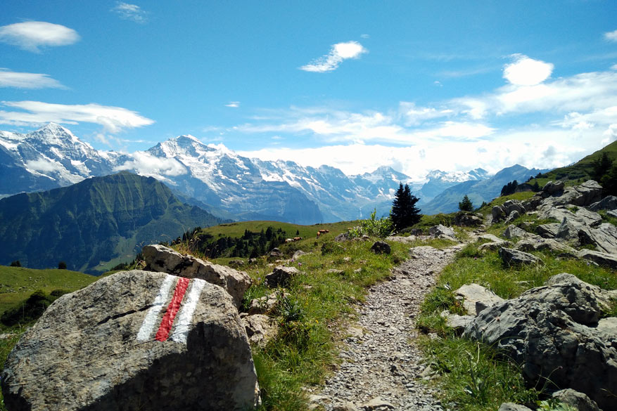 Intersoc: zonder zorgen uitrusten van de Zwitserse Bergen