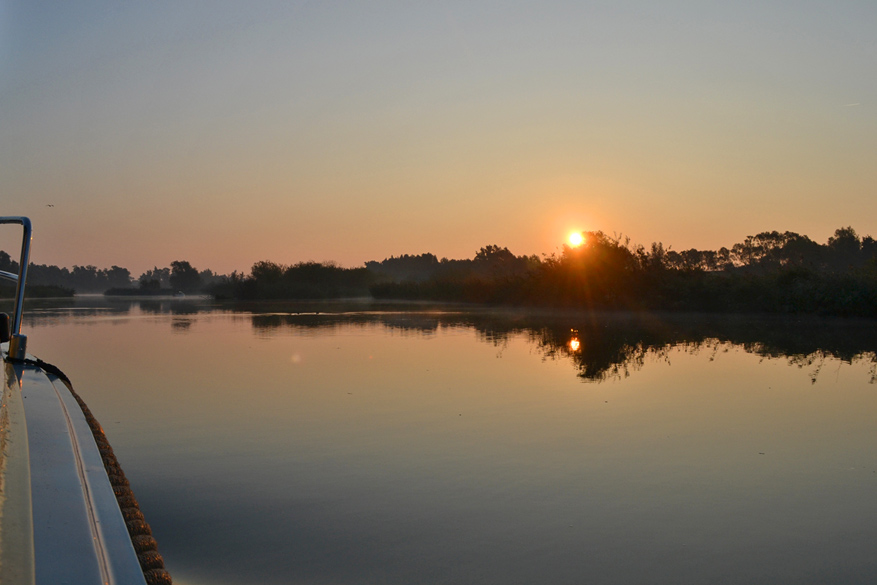 In beeld: zo mooi is de Biesbosch bij zonsopgang
