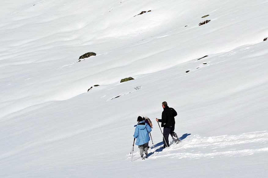 sneeuwvakantie franse alpen