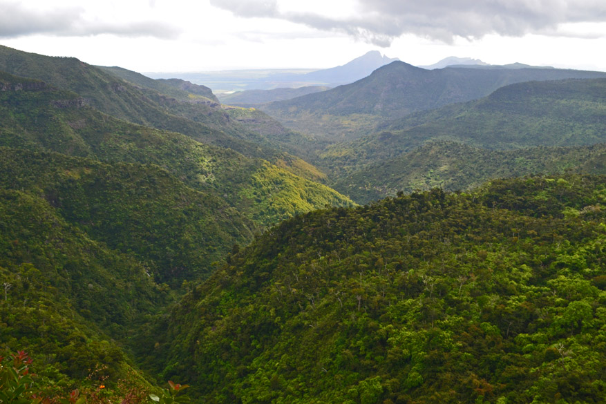 Roadtrip op Mauritius: de roep van het groene hinterland