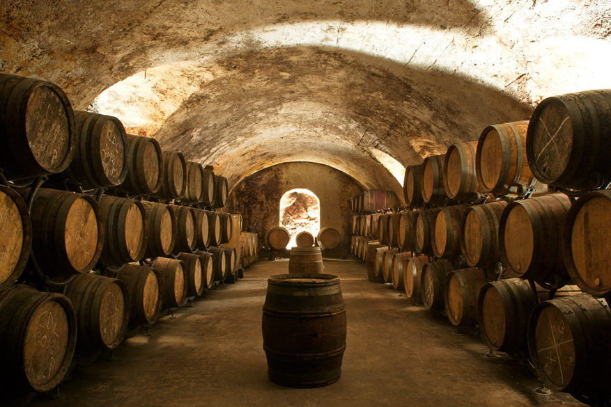 wijnhuizen in het Rhônedal