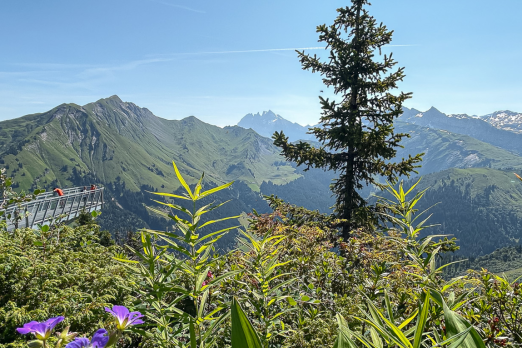 Morzine en Avoriaz